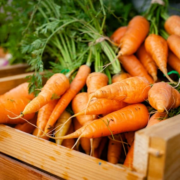 Cà Rốt Hữu Cơ VietGAP Đà Lạt (Túi 1kg)