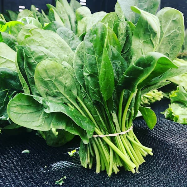Cải Bó Xôi Hữu Cơ VietGAP Đà Lạt (Bó 500g)